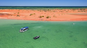 Shark Bay Wildlife Cruise